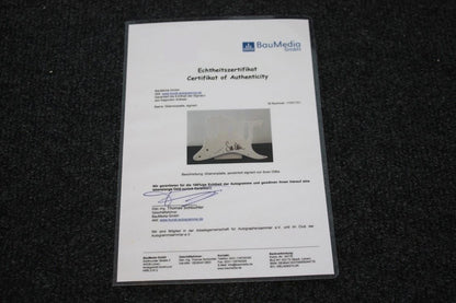 Gitarrenplatte, Sven Ottke signiert, Autogramm, Boxen, Neu, Sammeln, Signatur