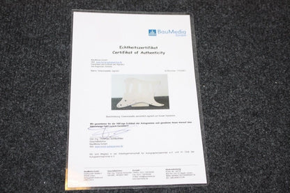 Gitarrenplatte, Susan Sarandon signiert, Neu, Film, Schauspielerin, Autogramm