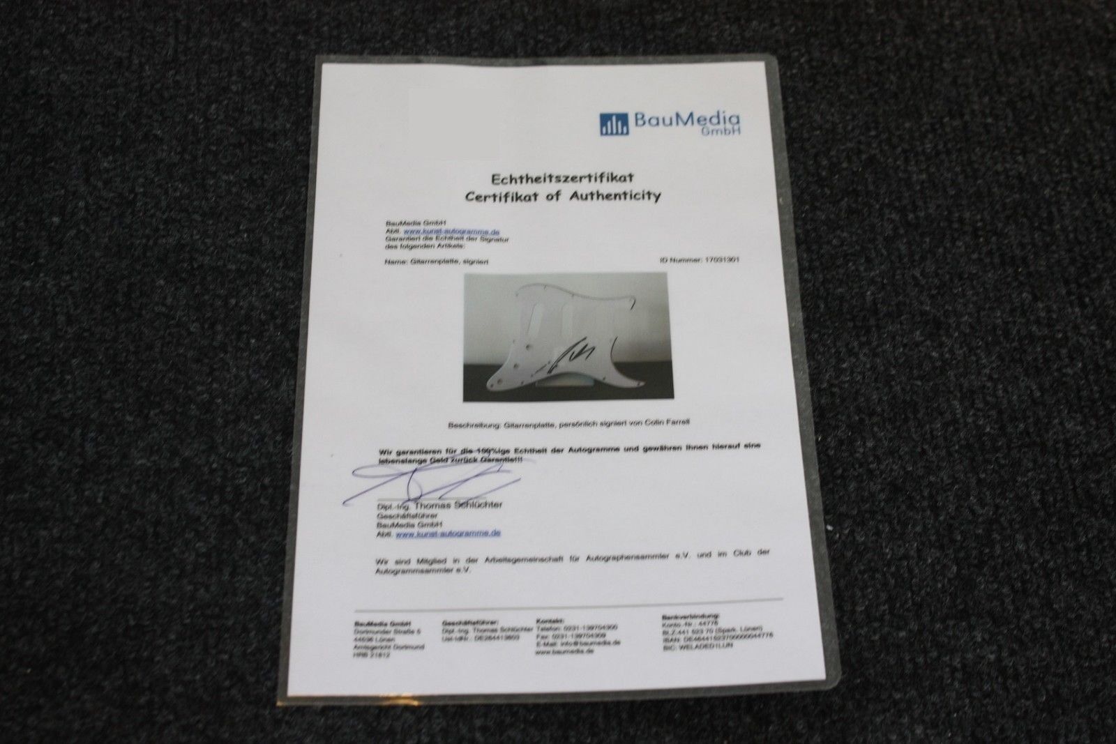 Gitarrenplatte, David Kross signiert, Film, Fernsehen, Kino, Autogramm, Sammeln