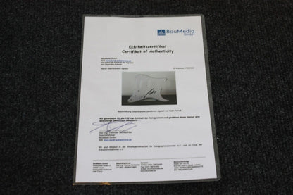 Gitarrenplatte, David Kross signiert, Film, Fernsehen, Kino, Autogramm, Sammeln