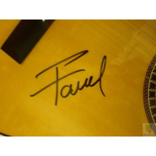 Concert guitar signed by Fanel Cornelius the Voice of Germany, autograph, new