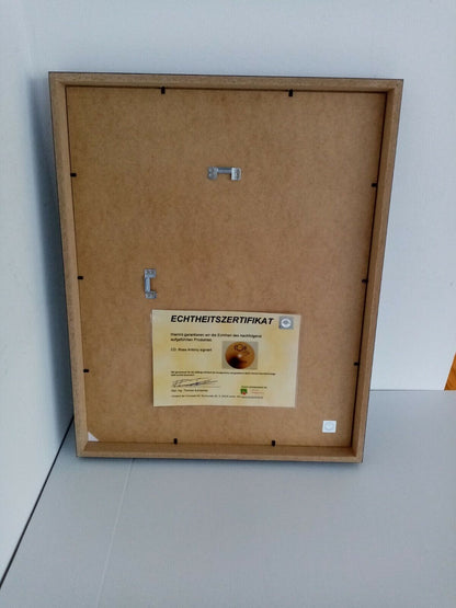 CD / Rohling Ross Antony signiert mit Album im Rahmen Autogramm Musik Neu Charts