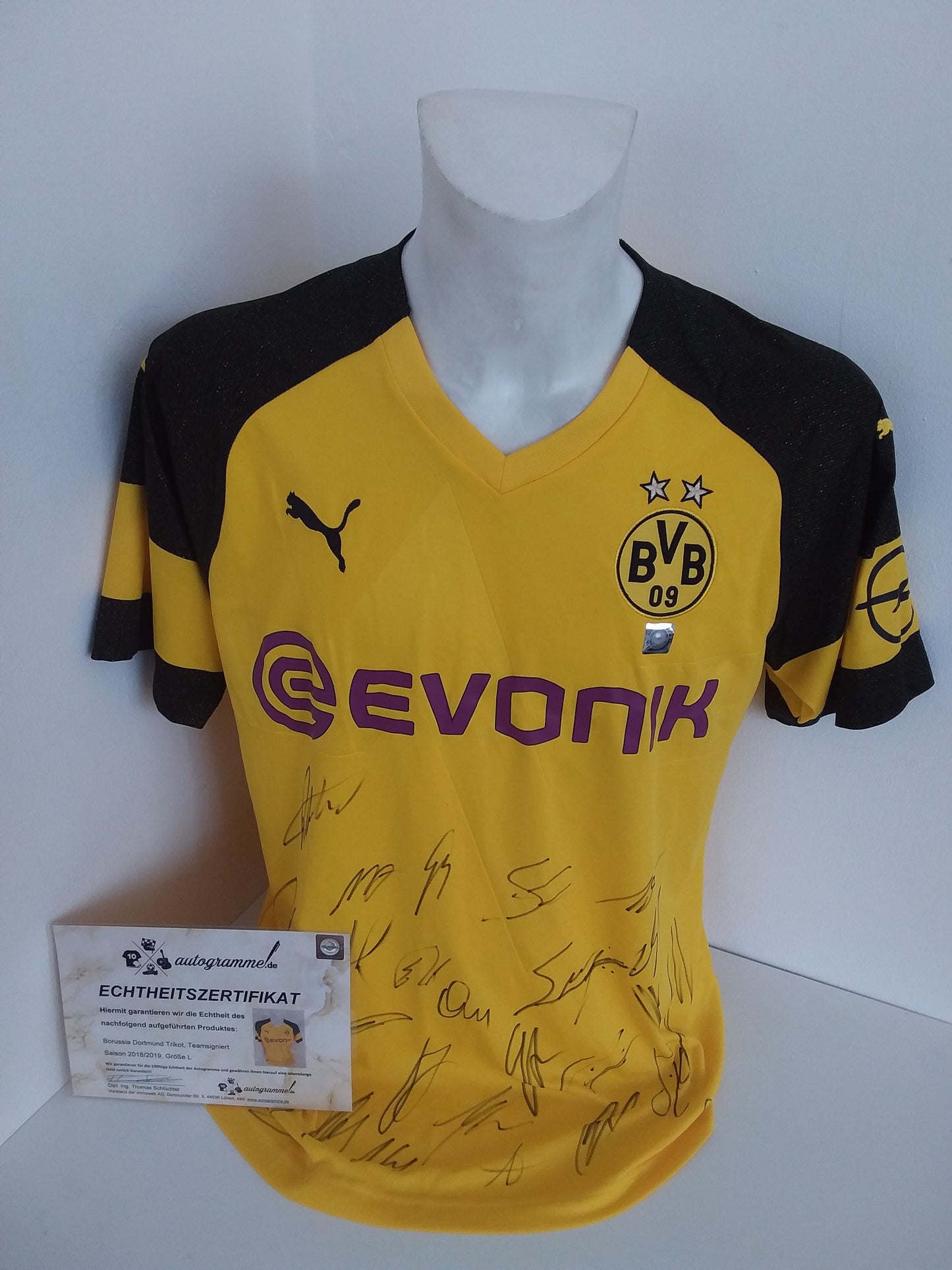 BVB Trikot 2018/2019 Teamsigniert Borussia Dortmund Autogramm COA Puma L