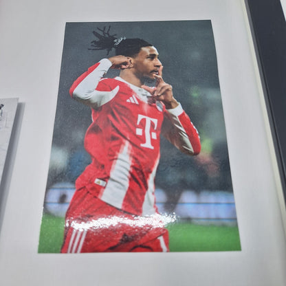 Kapitänsbinde Michael Olise signiert im Rahmen Bayern München