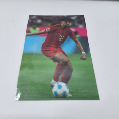 Kapitänsbinde Aleksandar Pavlović signiert im Rahmen Bayern München Autogramm COA