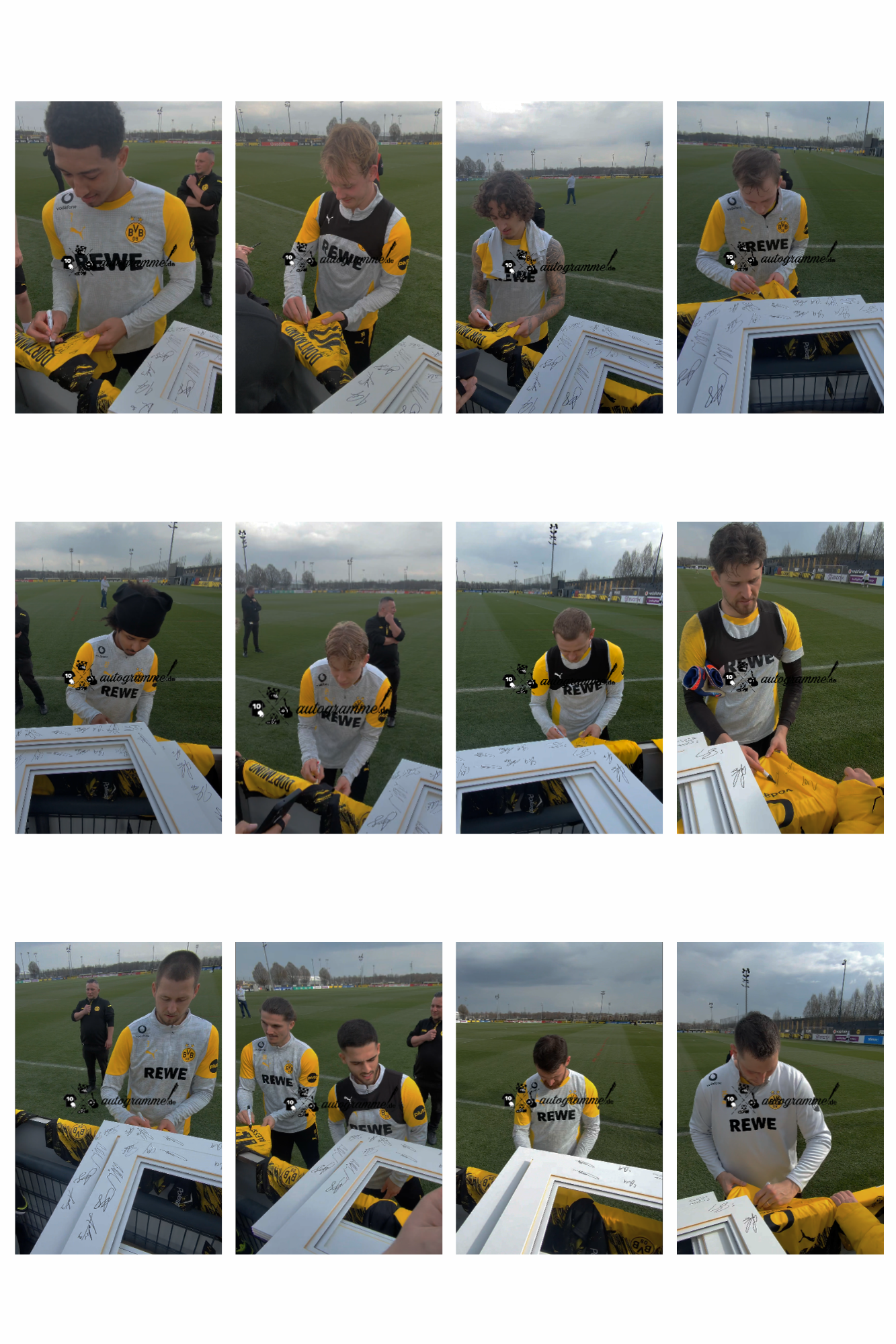 BVB Trikot 2025/2026 Teamsigniert Borussia Dortmund Neu Puma L