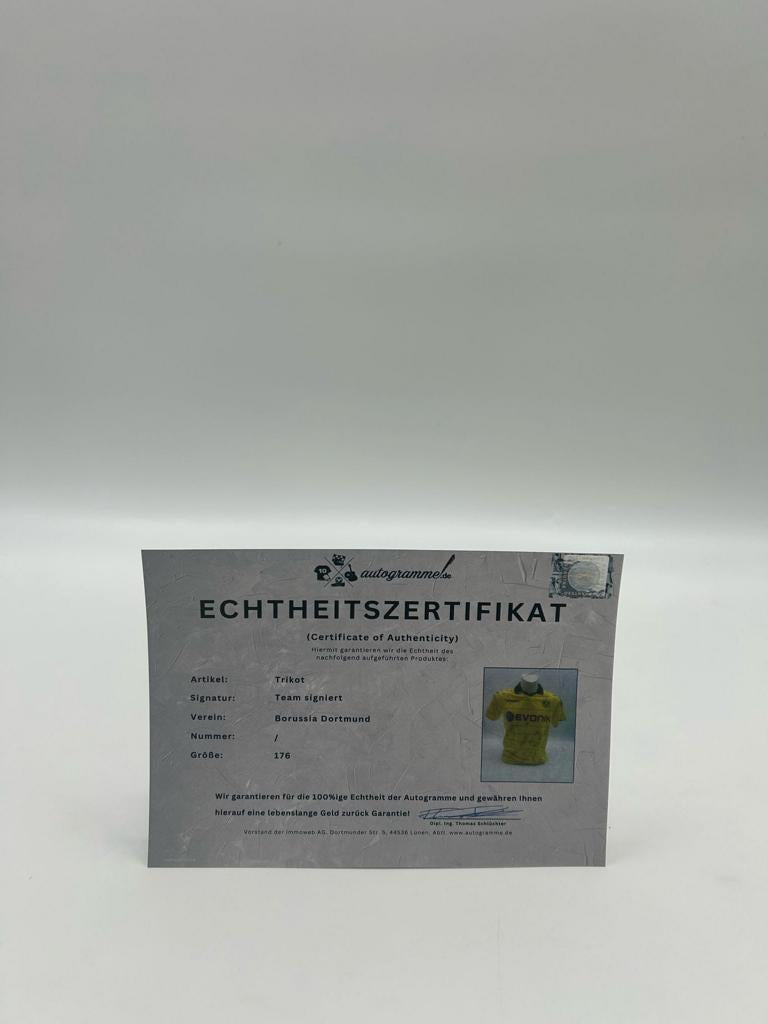 BVB Trikot 2010/2011 Teamsigniert Borussia Dortmund COA Puma Meister 176