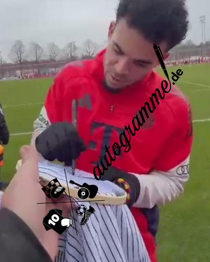 Bayern München Trainingsshirt Luis Diaz signiert im Rahmen COA Adidas 3XL