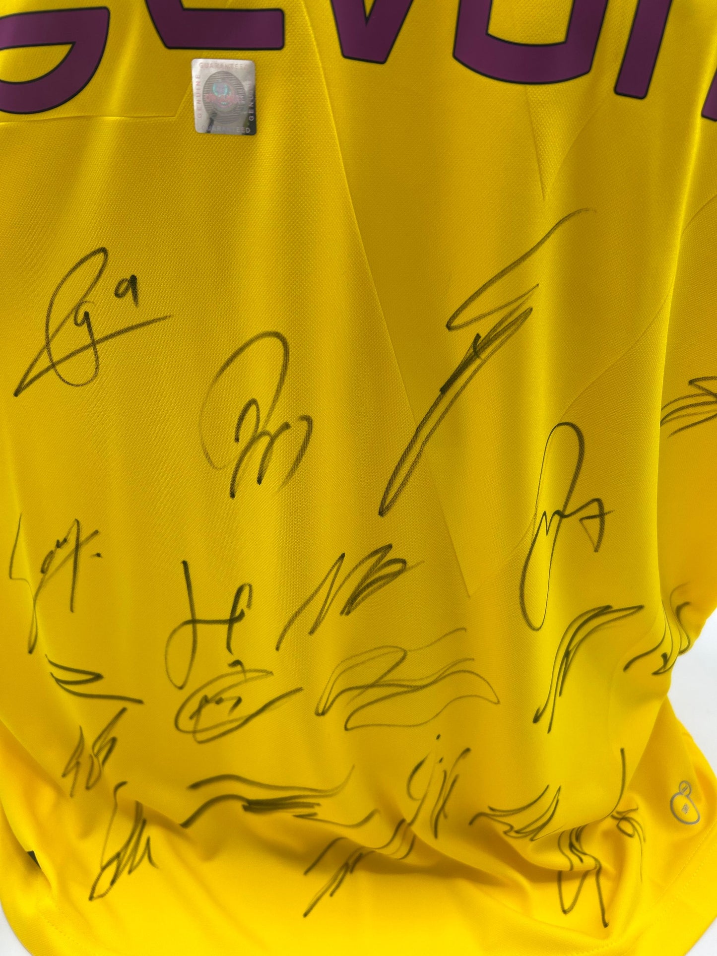 BVB Trikot 2018/2019 Teamsigniert Borussia Dortmund COA Neu Puma L