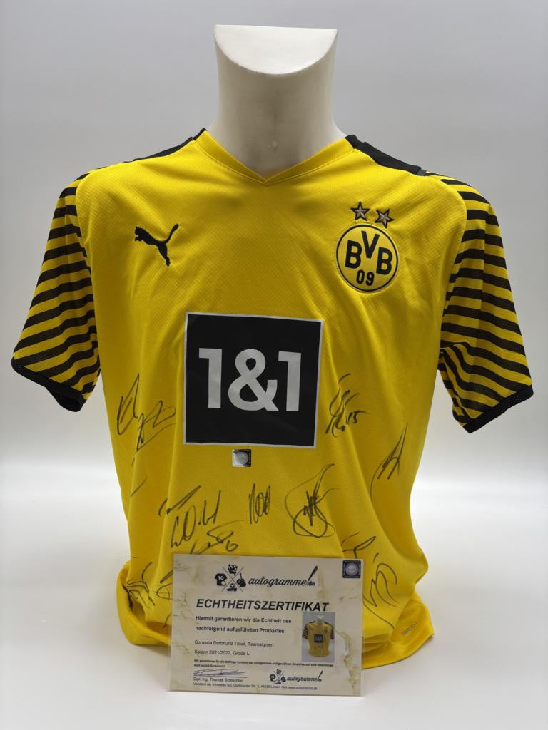 BVB Trikot 2021/2022 Teamsigniert Borussia Dortmund COA Neu Puma L