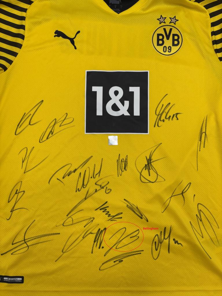 BVB Trikot 2021/2022 Teamsigniert Borussia Dortmund COA Neu Puma L