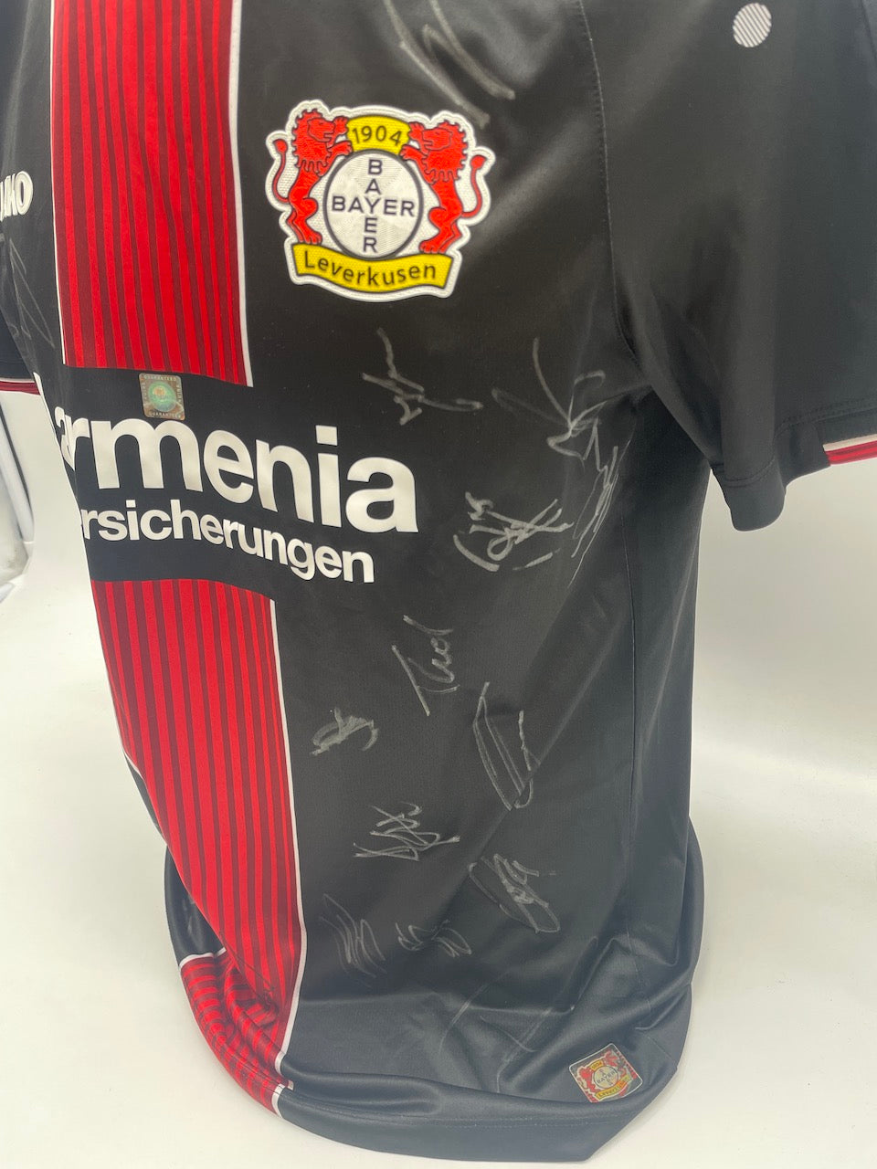 Bayer Leverkusen Trikot 2019/2020 Teamsigniert Autogramm COA Jako L