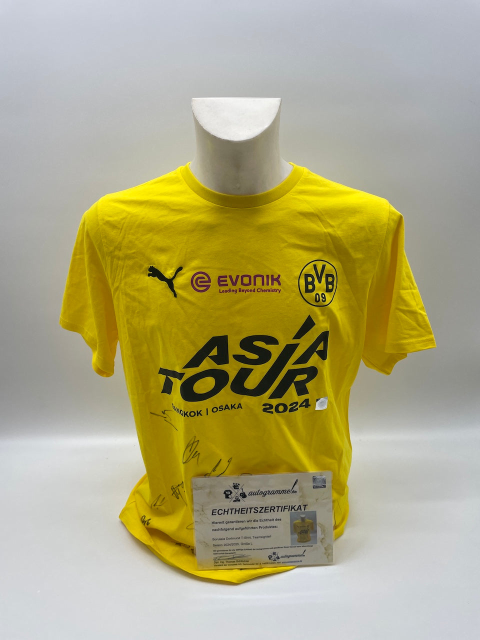 BVB T-Shirt Asia Tour 2024 Teamsigniert Autogramm COA L