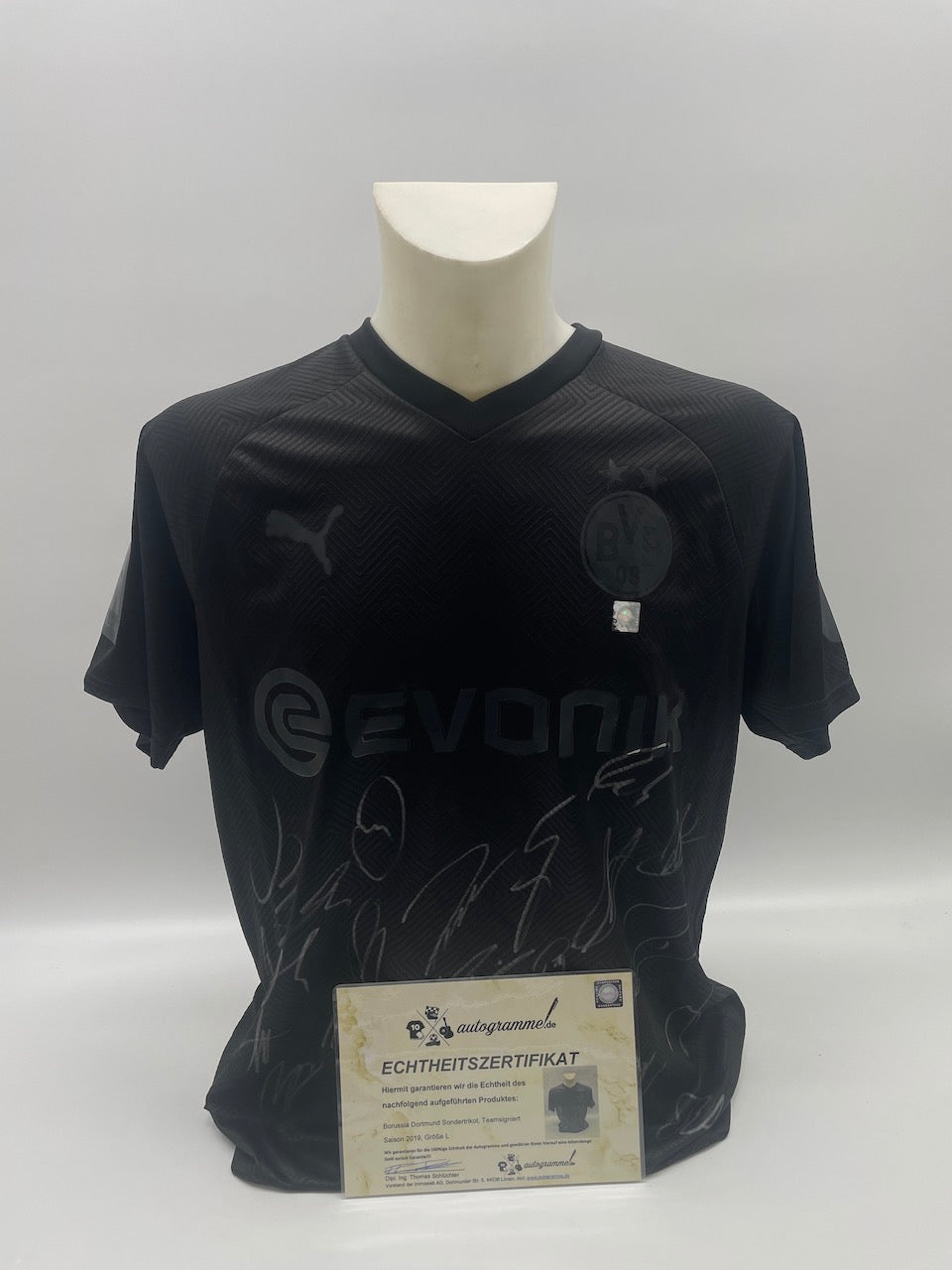 BVB Sondertrikot 2019/2020 Teamsigniert Borussia Dortmund COA Puma L