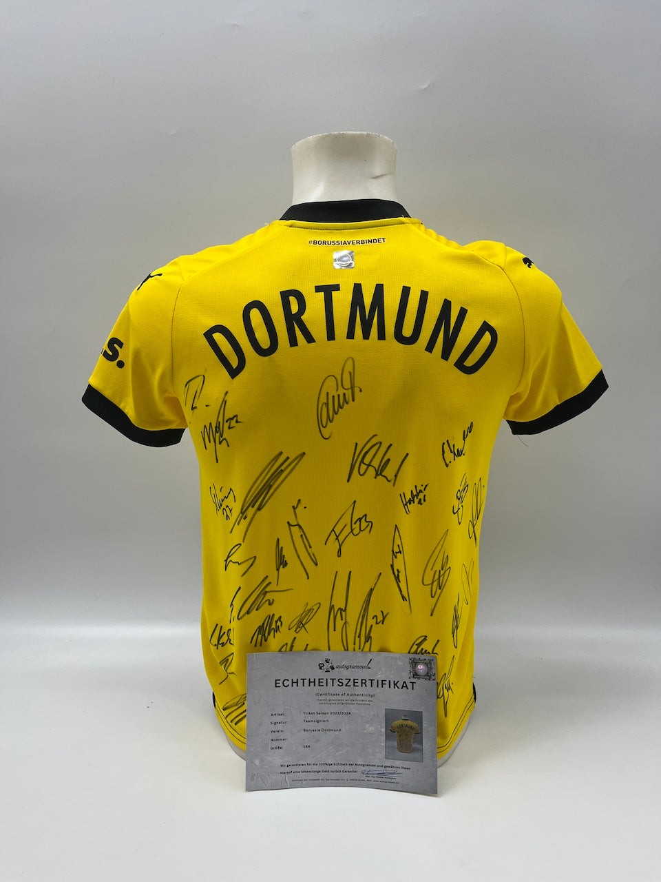 BVB Trikot 2023/2024 Teamsigniert Borussia Dortmund COA Puma 164