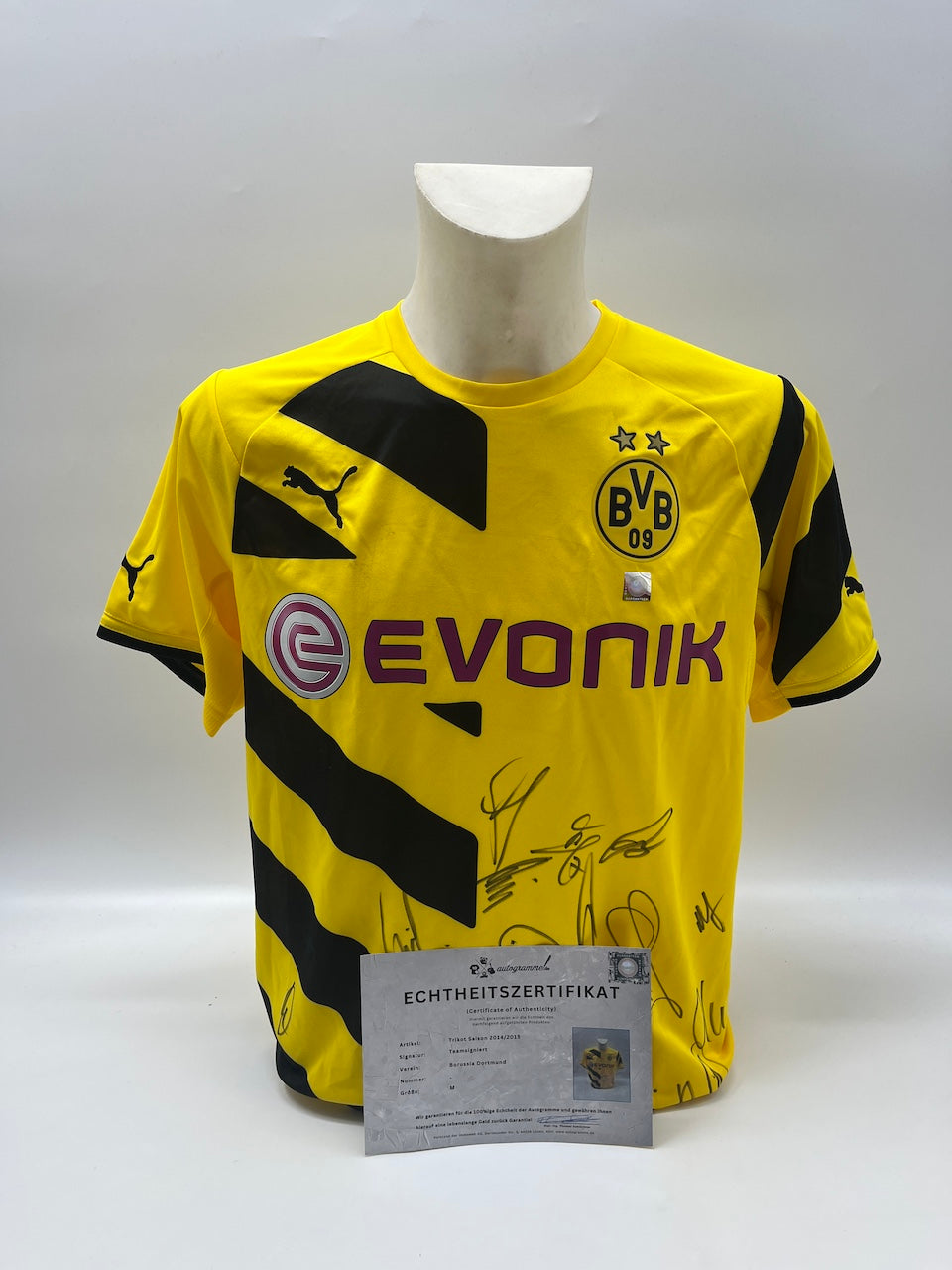 BVB Trikot 2014/2015 Teamsigniert Borussia Dortmund COA Puma M