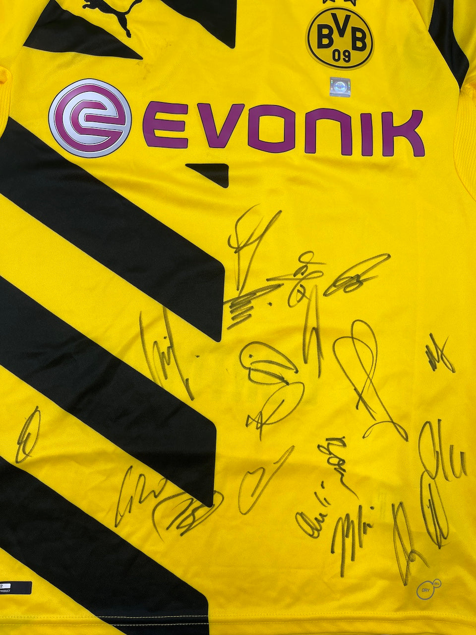 BVB Trikot 2014/2015 Teamsigniert Borussia Dortmund COA Puma M
