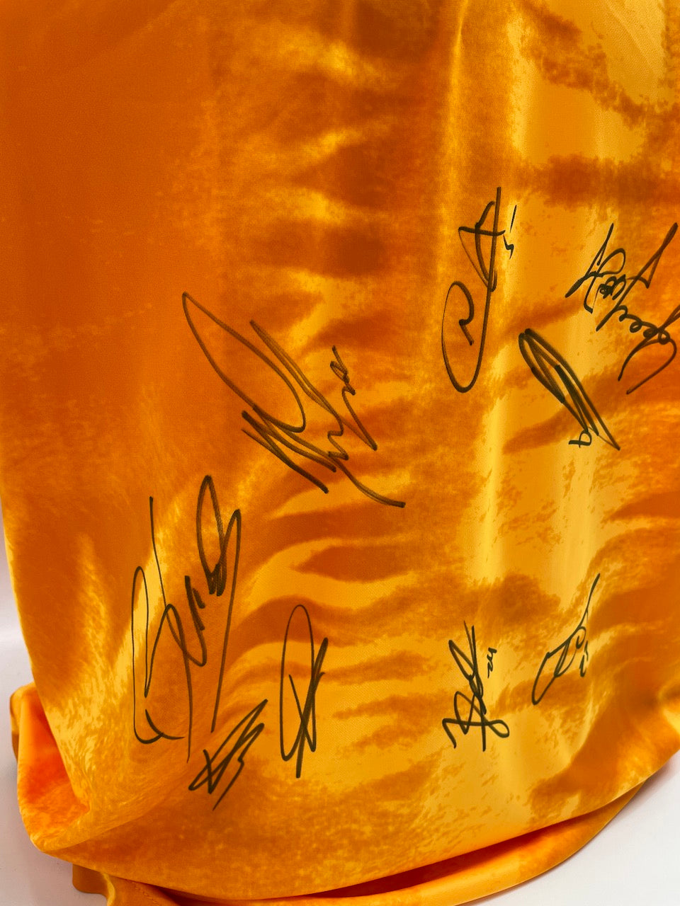 Niederlande Trikot WM 2022 Teamsigniert Autogramm Holland Nike XL