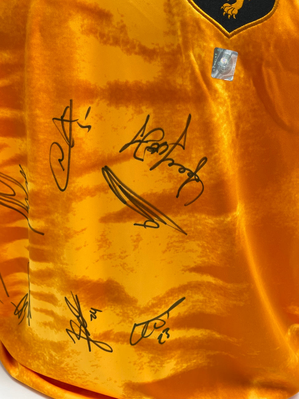 Netherlands jersey World Cup 2022 team signed autograph Holland Nike XL