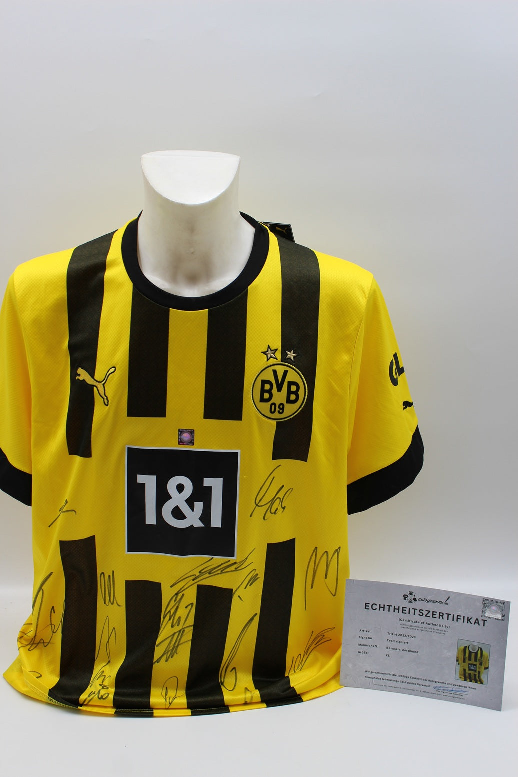 BVB Trikot 2022/2023 Teamsigniert Borussia Dortmund Puma Neu XL