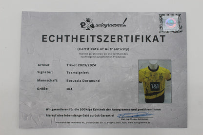 BVB Trikot 2023/2024 Teamsigniert Borussia Dortmund Puma Neu 164