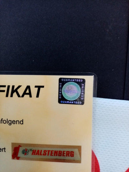 RB Leipzig Fanschal Halstenberg signiert COA Autogramm Fußball Schal Red Bull