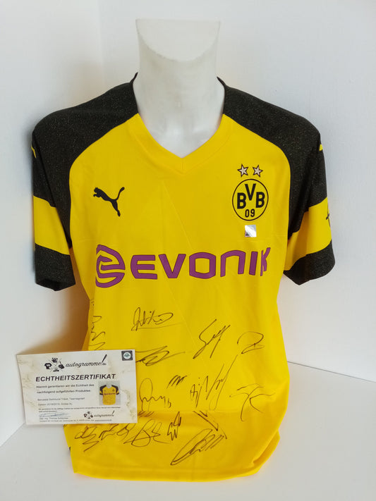 BVB Trikot 18/19 Teamsigniert Borussia Dortmund Autogramm Unterschrift Puma XL