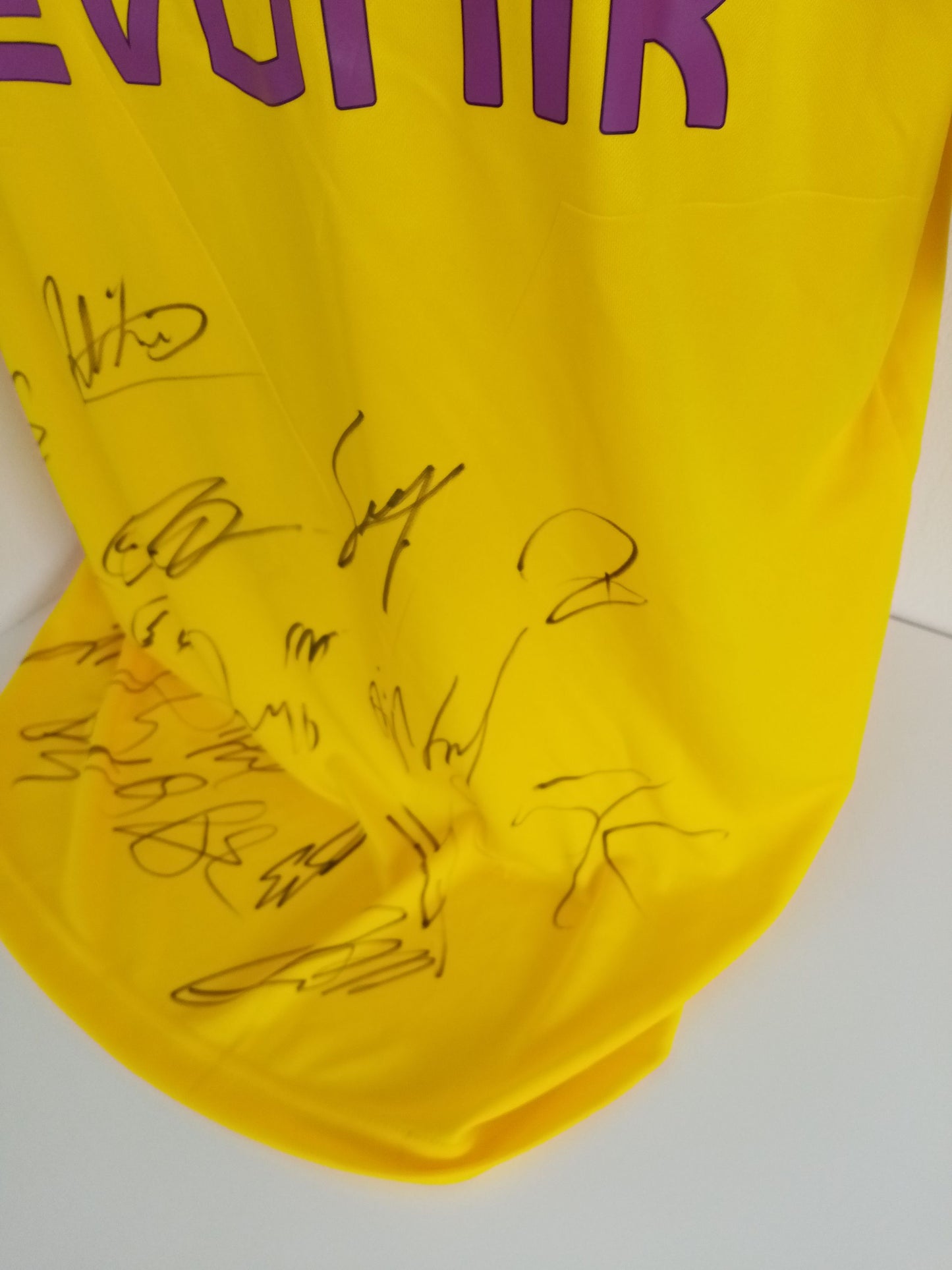 BVB Trikot 18/19 Teamsigniert Borussia Dortmund Autogramm Unterschrift Puma XL