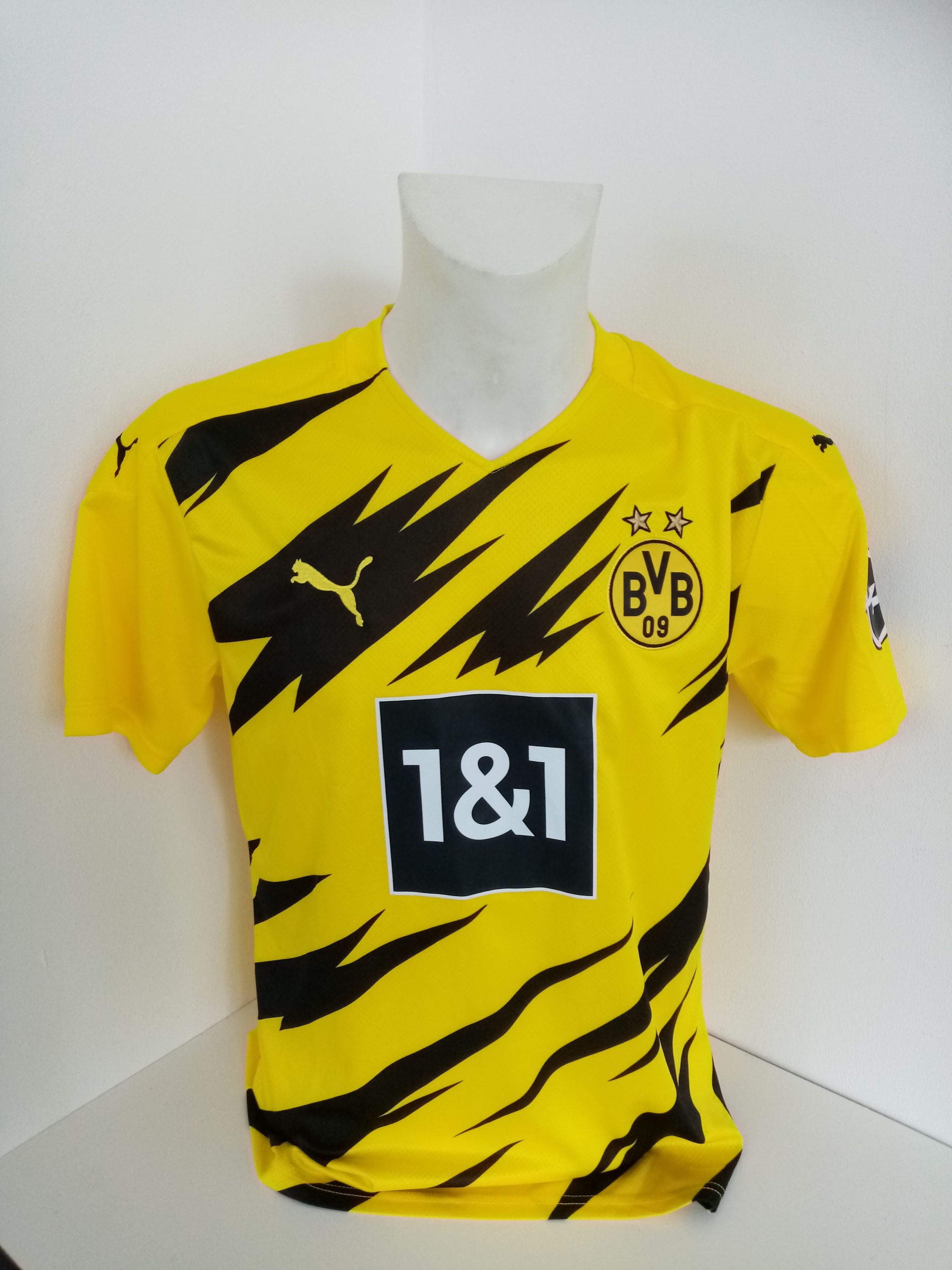 Team buy Signiert und Gerahmtes Trikot BVB Limitiert