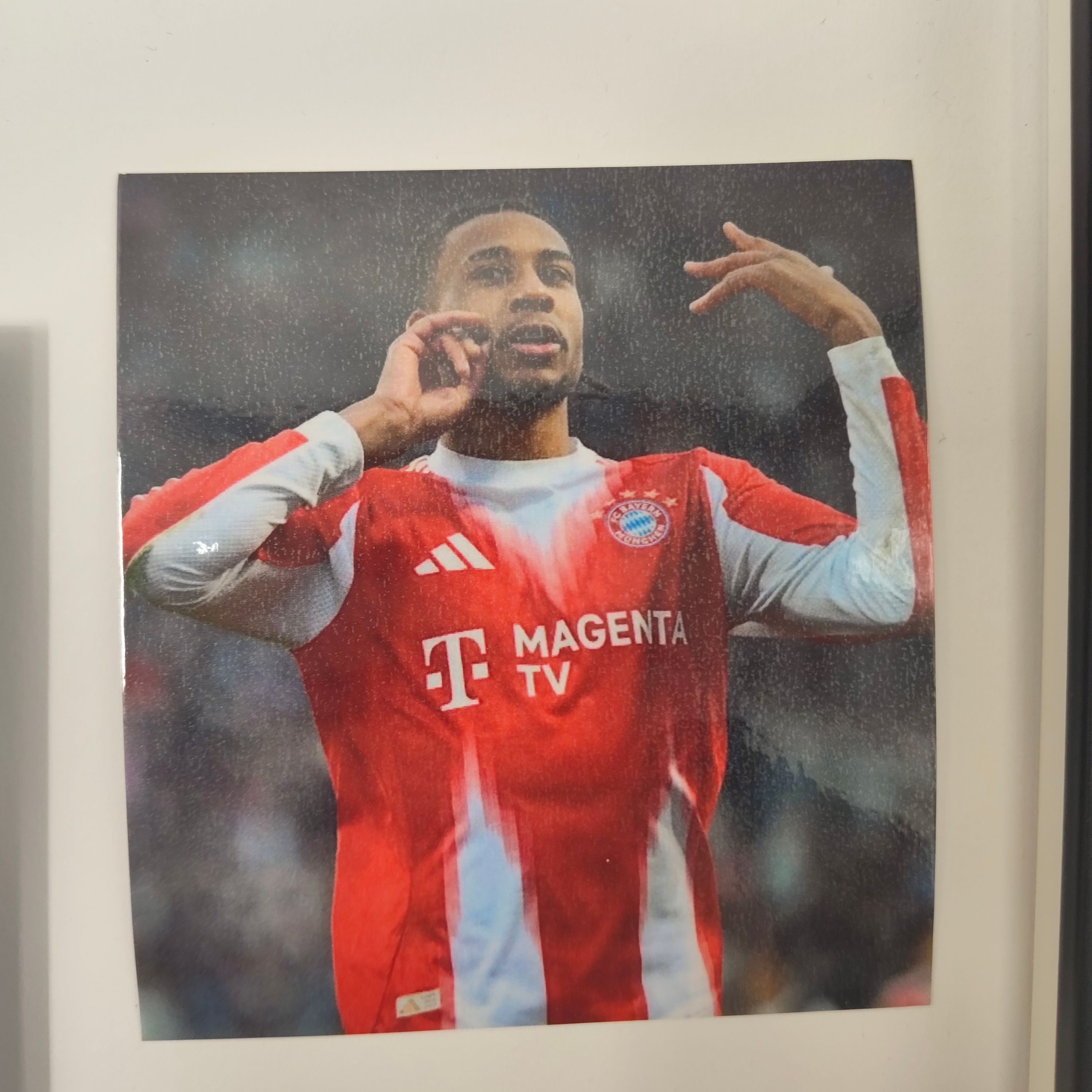 Kapitänsbinde Michael Olise signiert im Rahmen Bayern München