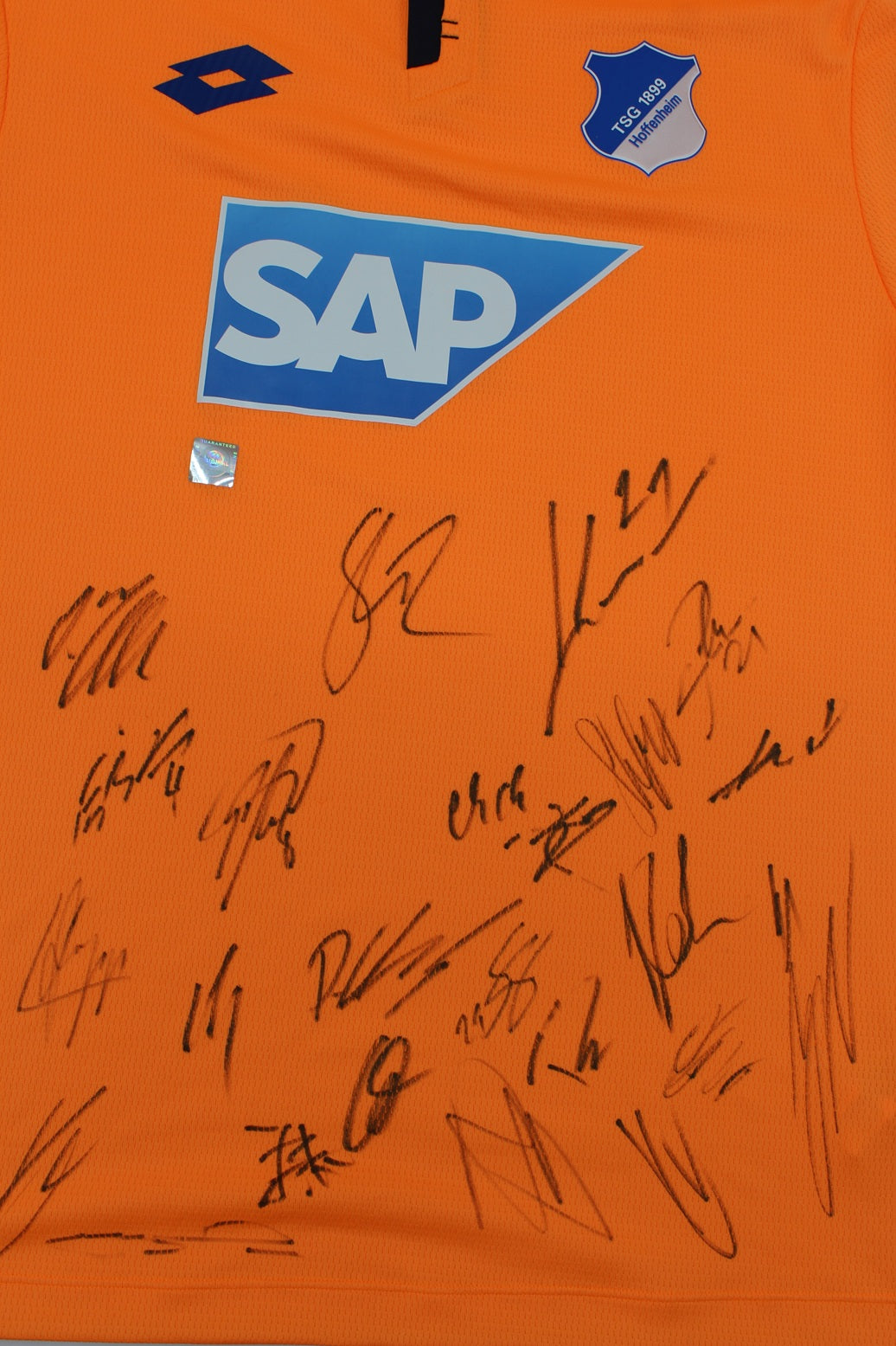 1899 Hoffenheim Trikot 2017/2018 Teamsigniert Autogramm Fußball Bundesliga Lotto L