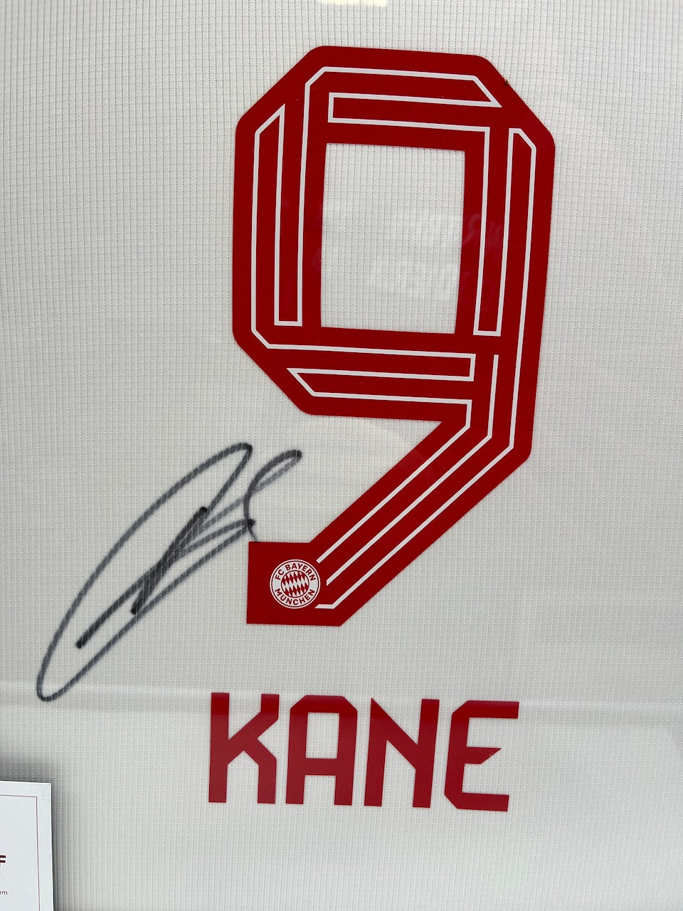 Bayern München Trikot Harry Kane signiert im Rahmen COA Neu Adidas