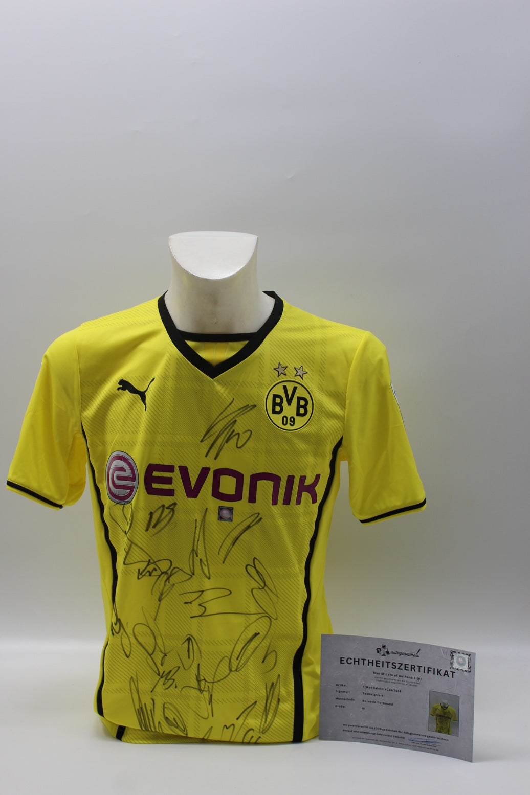 BVB Trikot 2013/2014 mit Bakalorz Flock Teamsigniert Borussia Dortmund Puma Neu M