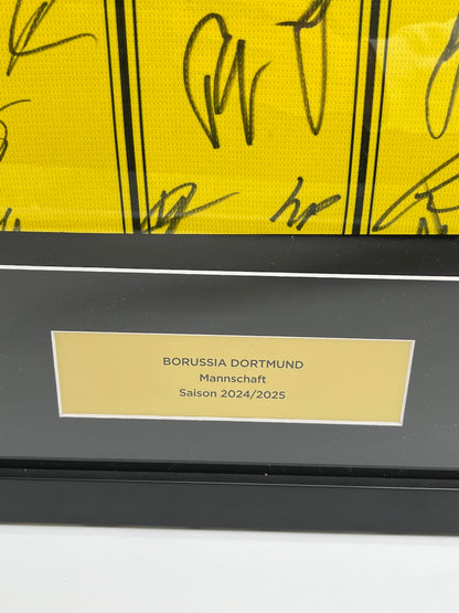 Borussia Dortmund Trikot 2024/2025 Teamsigniert im Rahmen Puma neu BVB