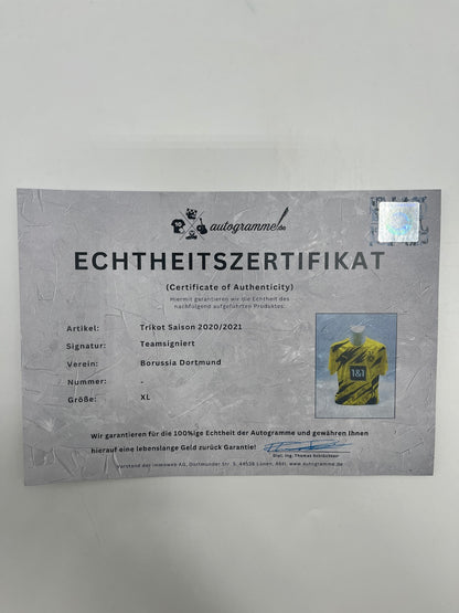 BVB Trikot 2020/2021 Teamsigniert Borussia Dortmund COA Puma Haaland XL