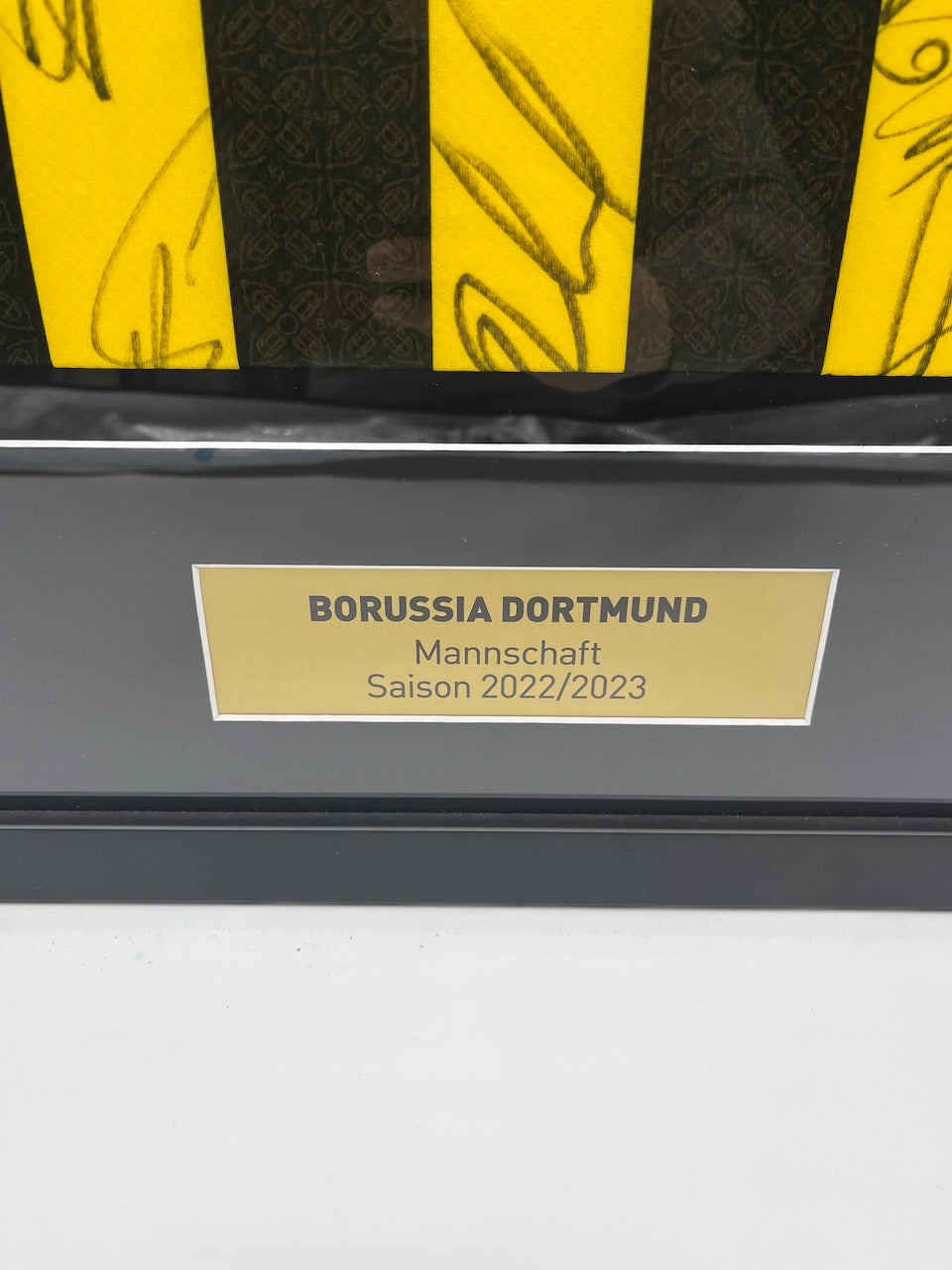 Borussia Dortmund Trikot 2022/2023 Teamsigniert im Rahmen Puma COA BVB