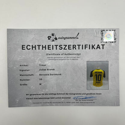 Borussia Dortmund Trikot signiert Julian Brandt BVB Puma Autogramm M