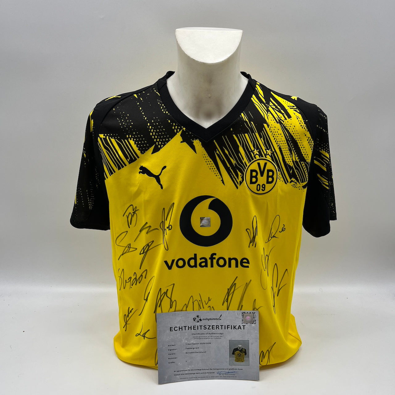 BVB Trikot 2025/2026 Teamsigniert Borussia Dortmund Neu Puma L