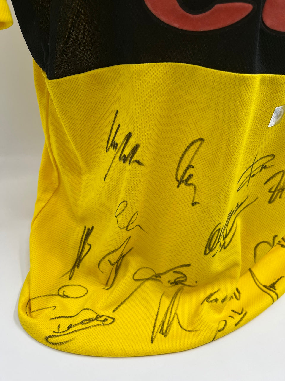 BVB Trikot 2002/2003 Teamsigniert Borussia Dortmund COA goool Bundesliga L