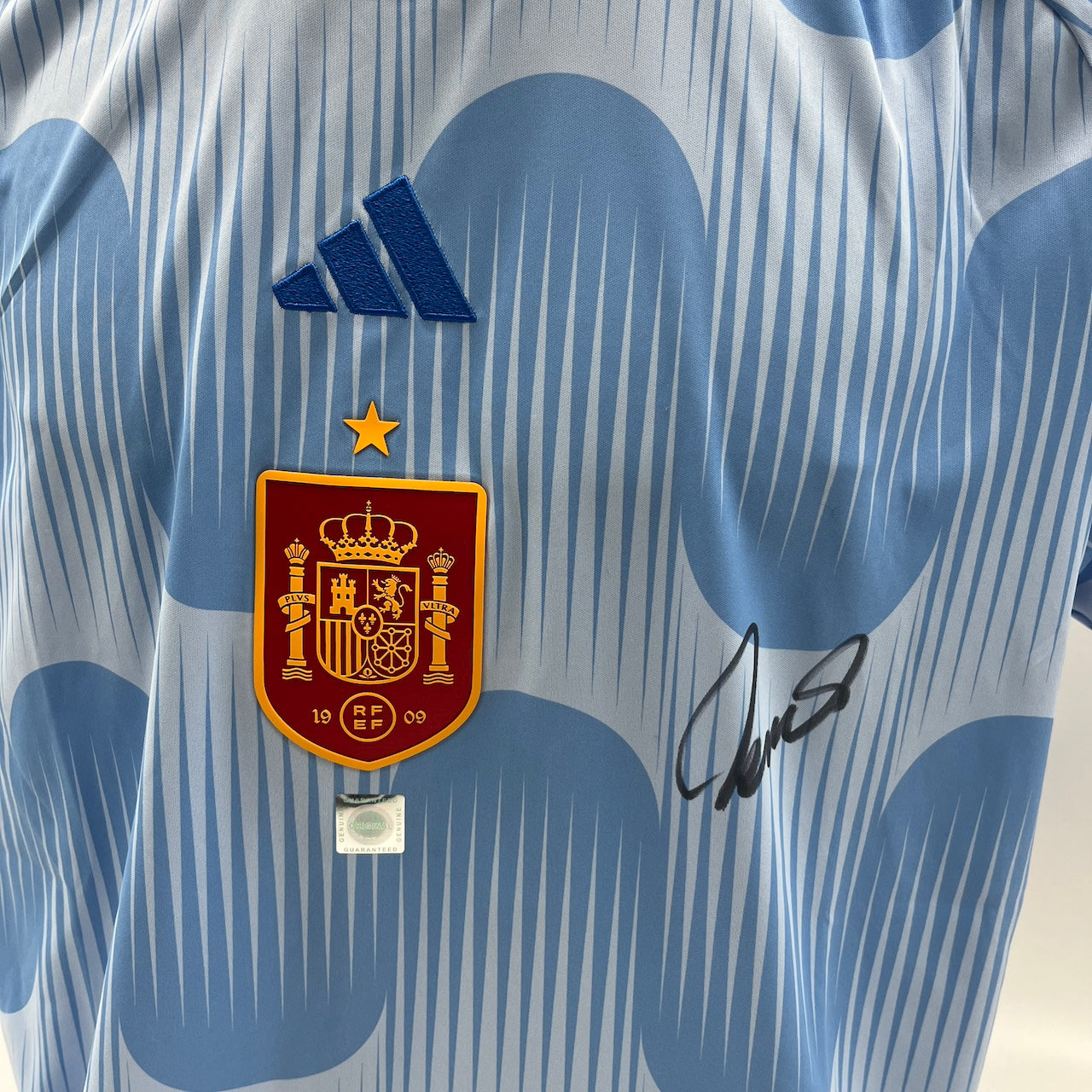 Spanien Trikot Fernando Torres signiert Adidas COA Autogramm L