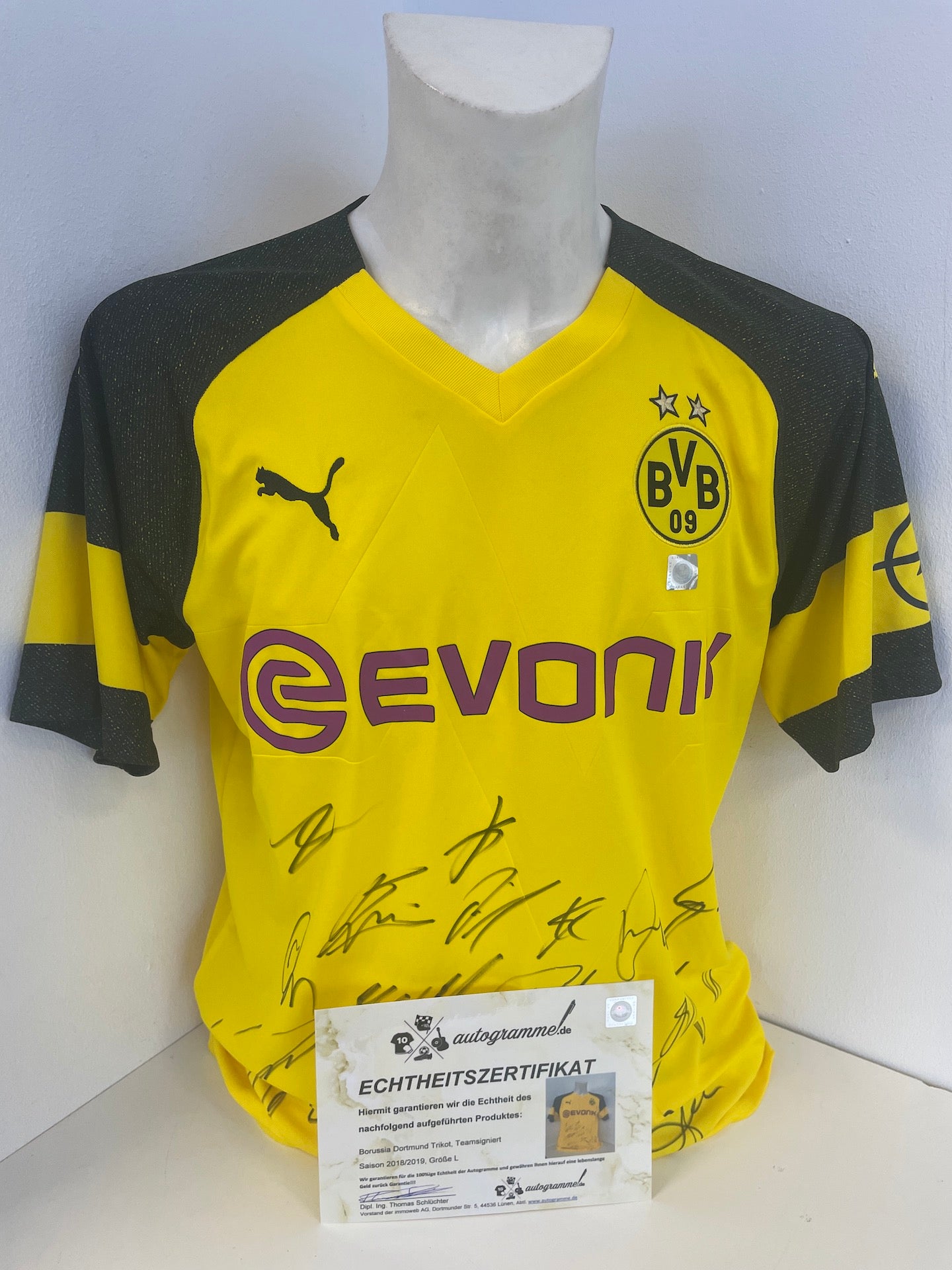 BVB Trikot 2018/2019 team signed Borussia Dortmund Coa Puma L