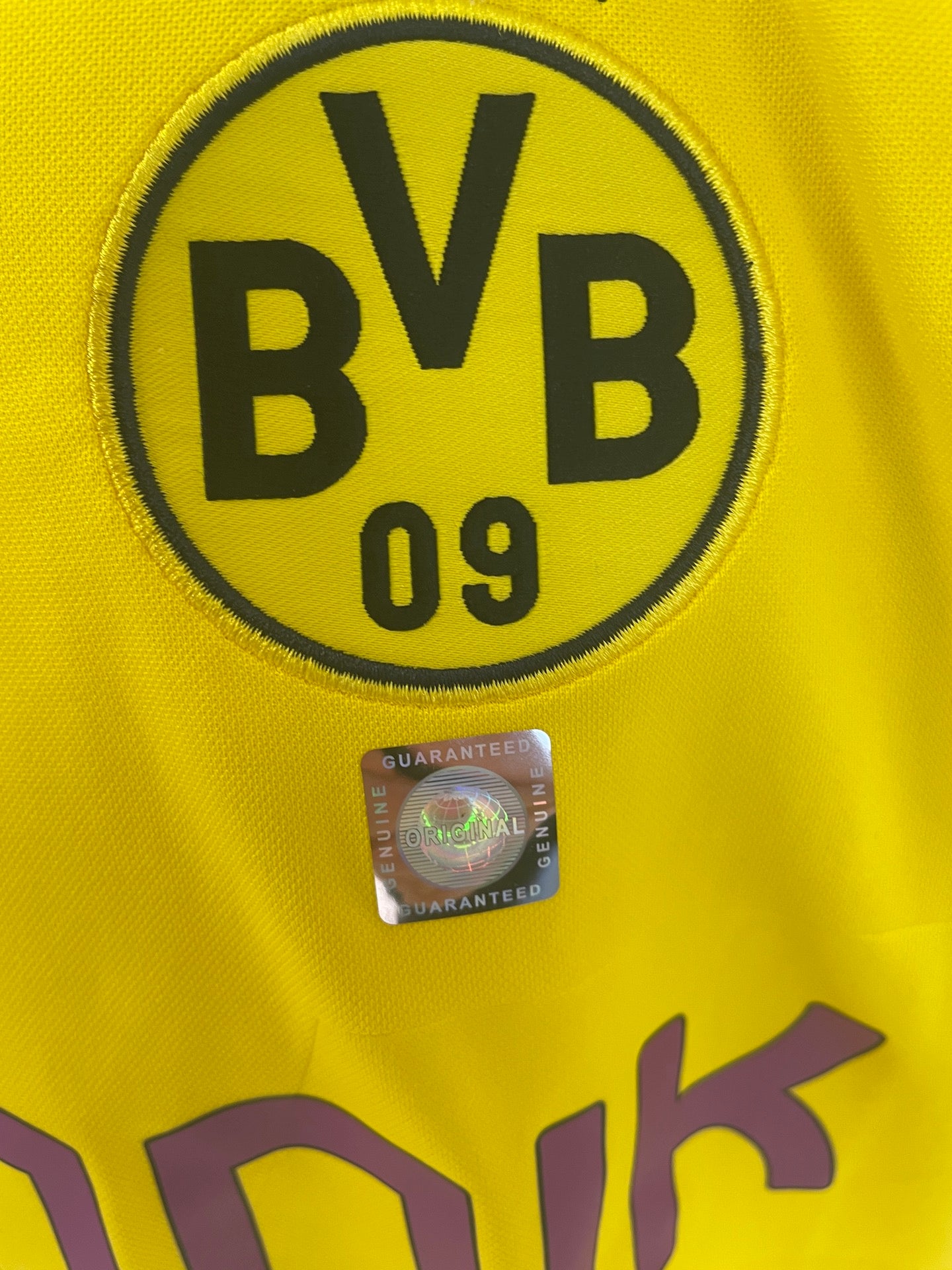 BVB Trikot 2018/2019 Teamsigniert Borussia Dortmund COA Puma L