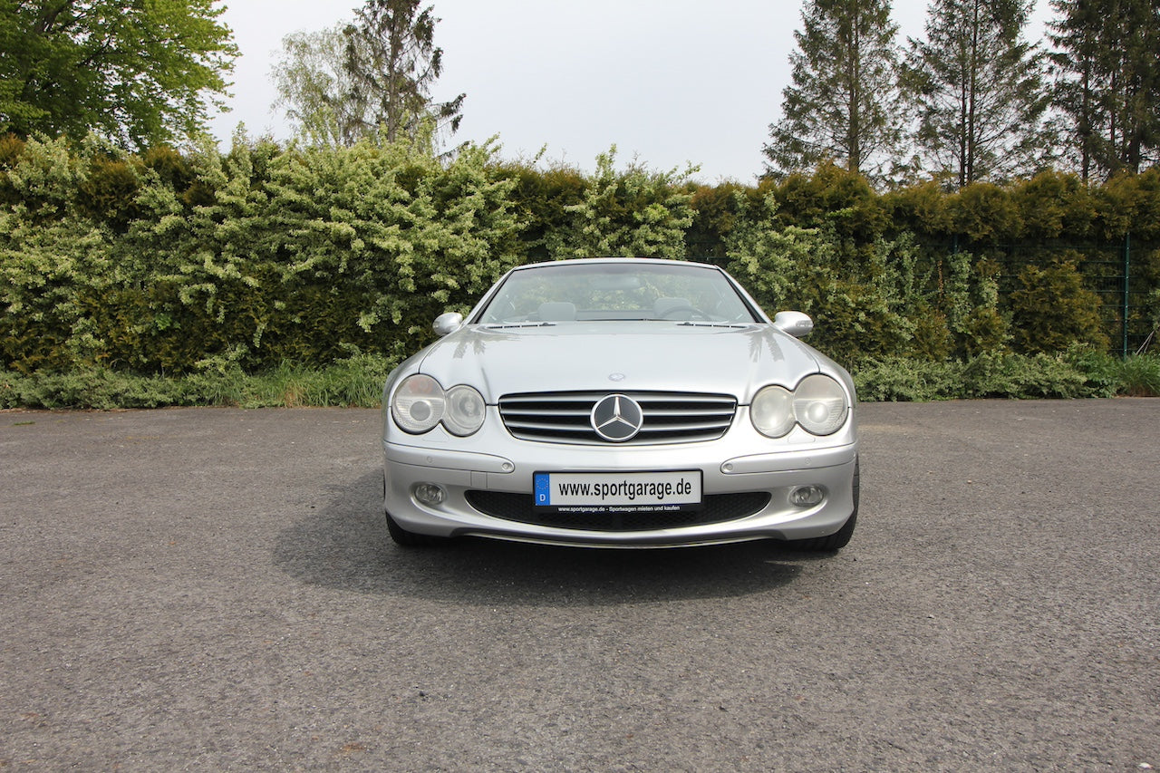 Donatella Versace Mercedes-Benz 500 SL silber
