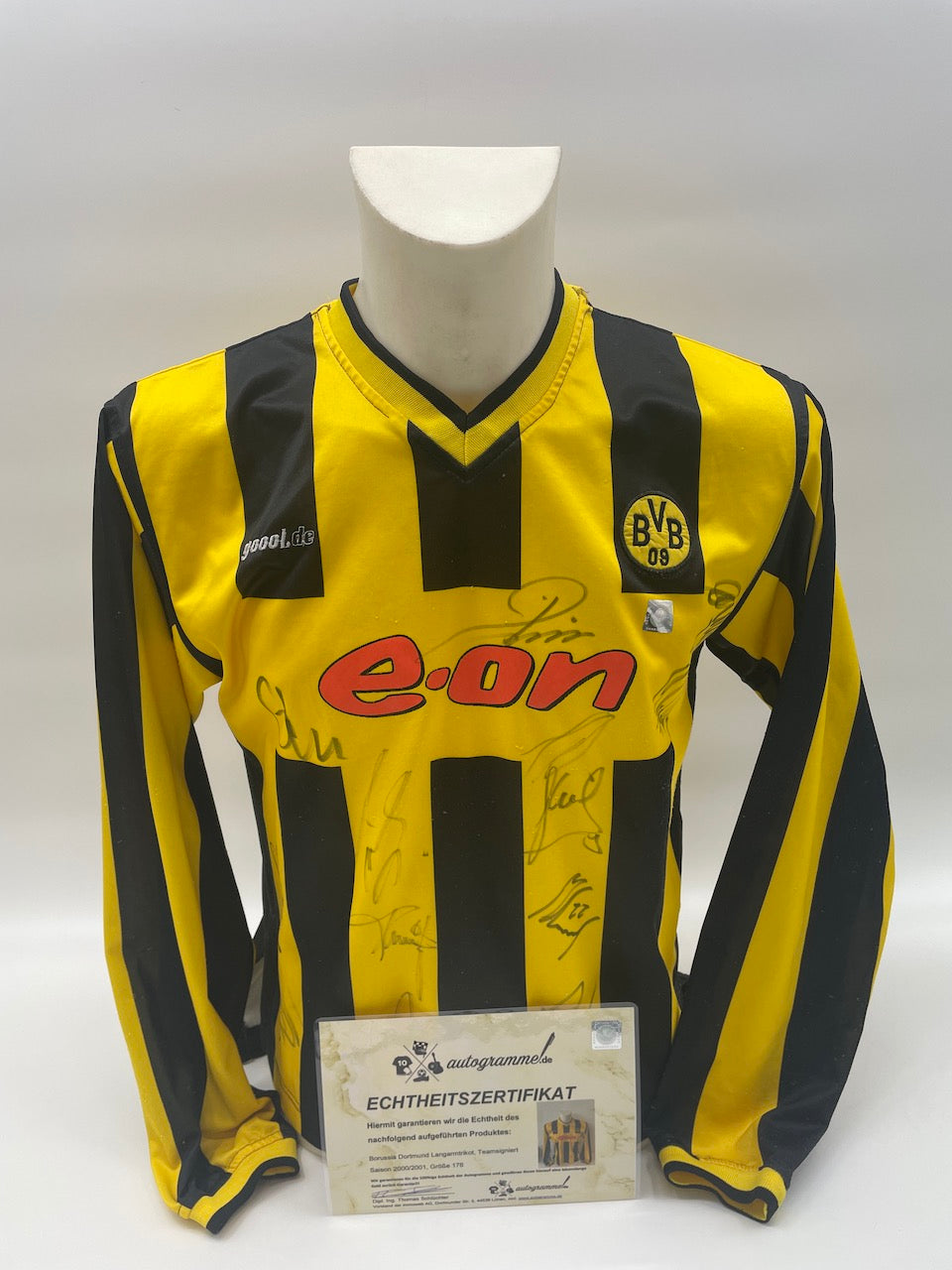 BVB Trikot 2000/2001 Teamsigniert Borussia Dortmund COA Goool Bundesliga 176