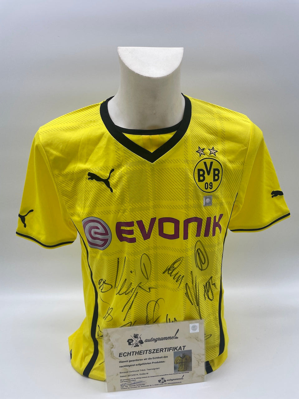 BVB Trikot 2013/2014 Teamsigniert Borussia Dortmund COA Neu Puma Bundesliga M