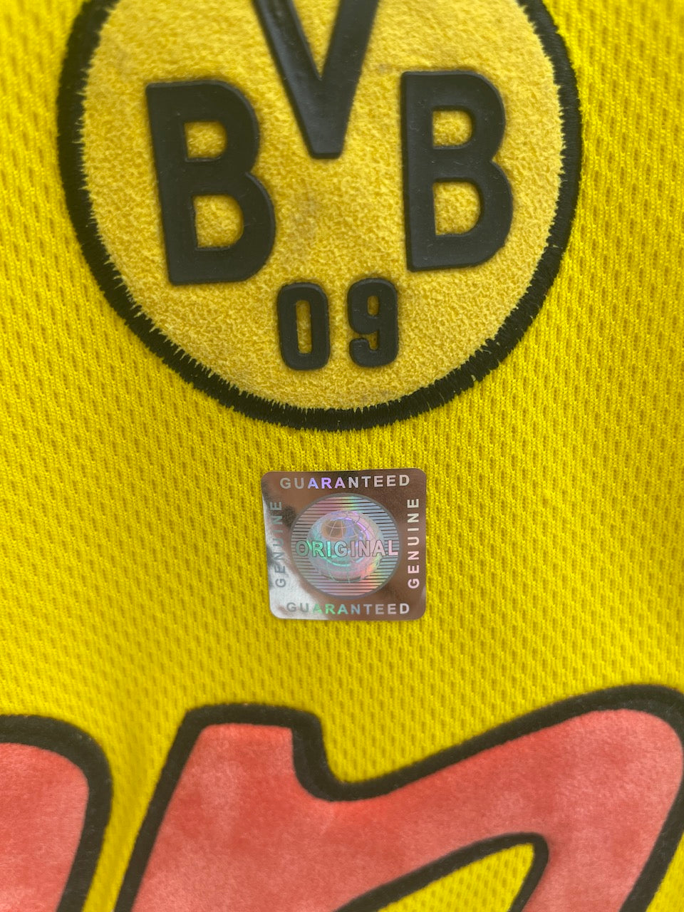BVB Trikot 2001/2002 Teamsigniert Borussia Dortmund COA Neu Nike Bundesliga L
