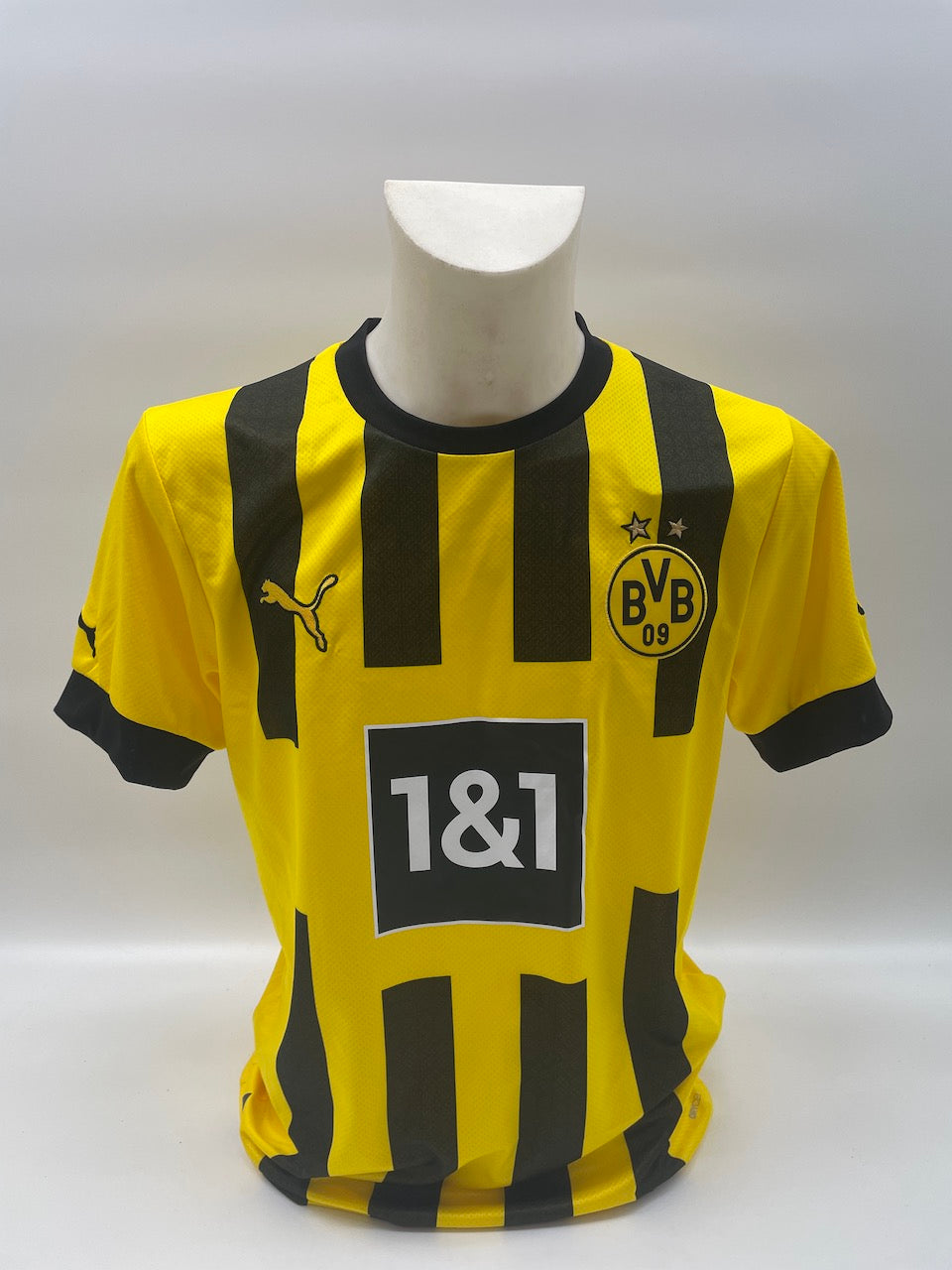 BVB Trikot 2022/2023 Teamsigniert Borussia Dortmund Bundesliga COA Neu Puma M