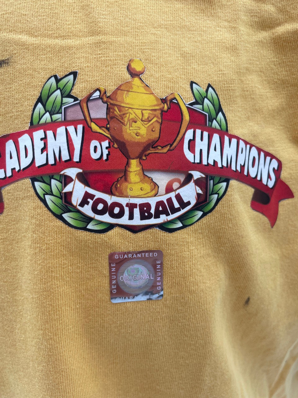 Academy of Champions Shirt Pele signiert Neu Unterschrift Autogramm COA L