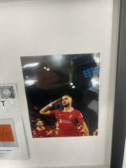 Kapitänsbinde Cody Gakpo signiert im Rahmen FC Liverpool Autogramm COA