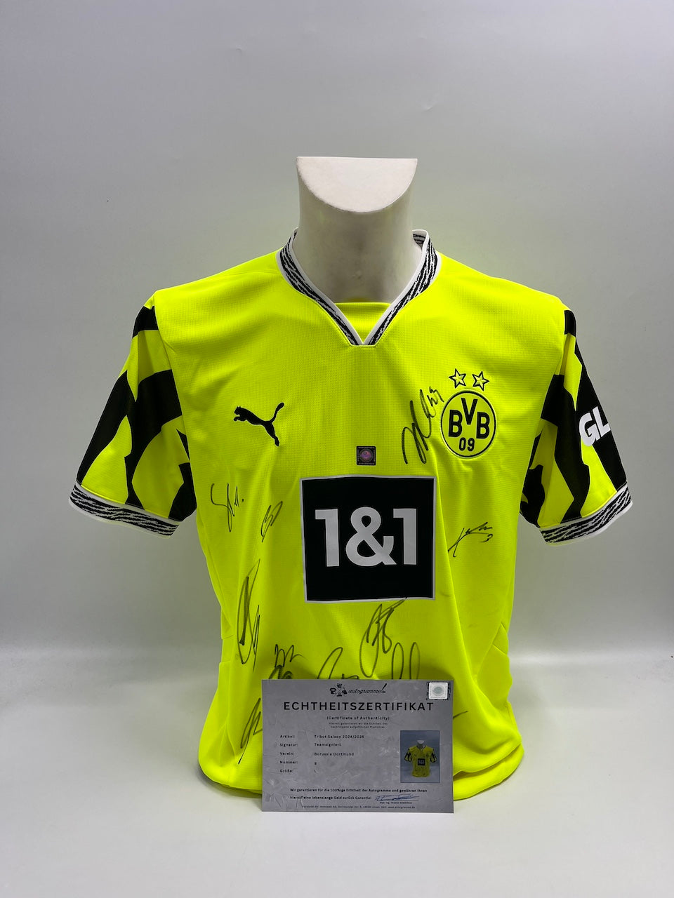 BVB Sondertrikot 2025 Teamsigniert Borussia Dortmund COA Puma Autogramm L